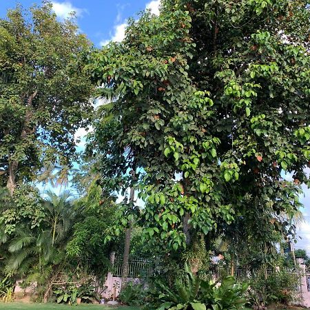 Bungalow 100 m² 2 phòng ngủ, 1 phòng tắm riêng ở Galas Dipolog Ngoại thất bức ảnh