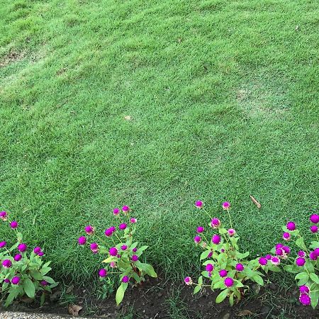 Bungalow 100 m² 2 phòng ngủ, 1 phòng tắm riêng ở Galas Dipolog Ngoại thất bức ảnh
